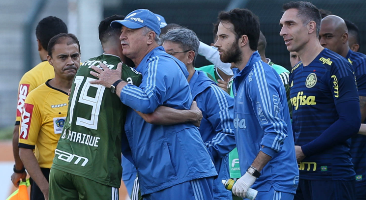  Palmeiras e Felipão voltaram a comemorar mais um título, agora, pelo Brasileirão!